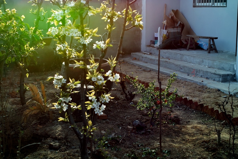 20120404.ϼ..绨_035-s.jpg