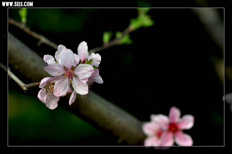 DSC_3067.jpg
