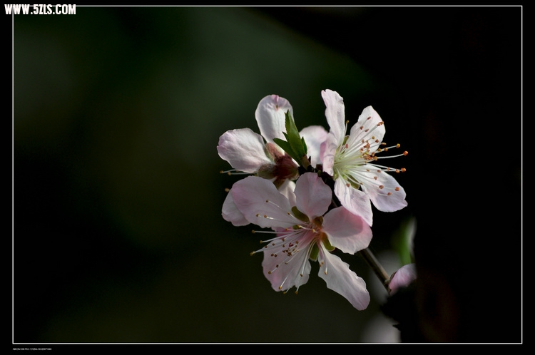 DSC_3079.jpg
