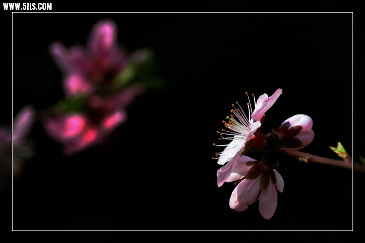DSC_3412.jpg