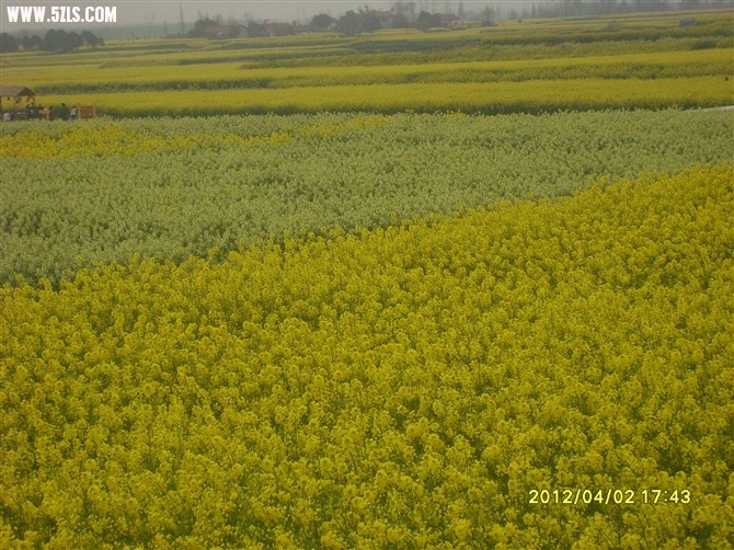 psbCAJ142R0.jpg