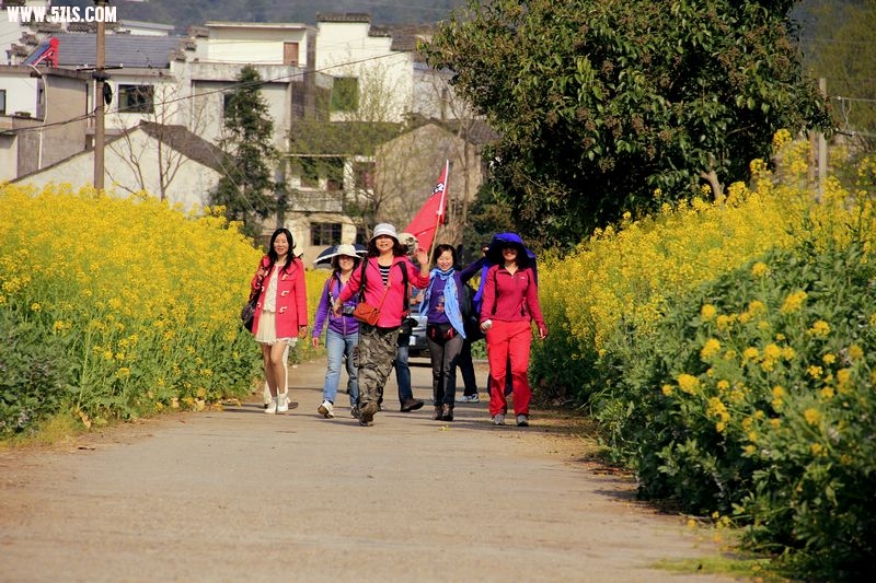_MG_2720.JPG