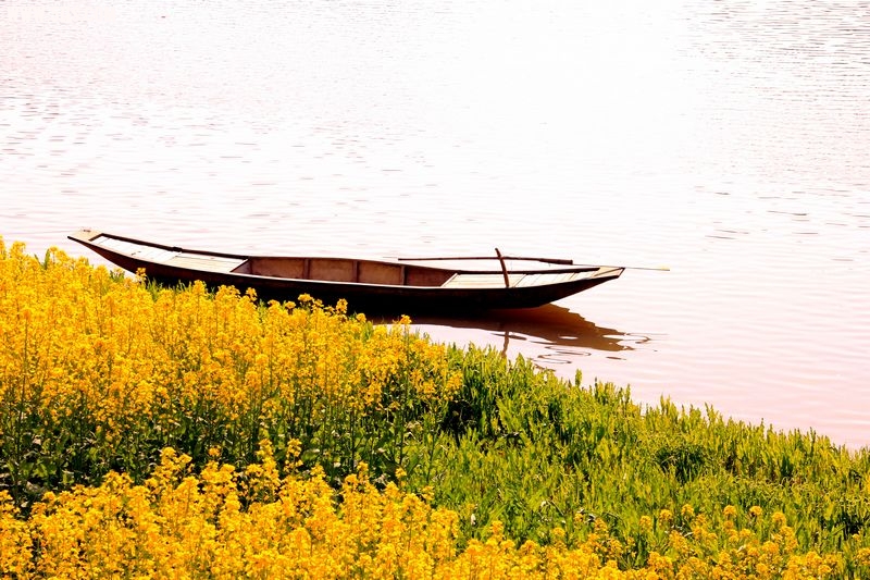 _MG_3562.JPG