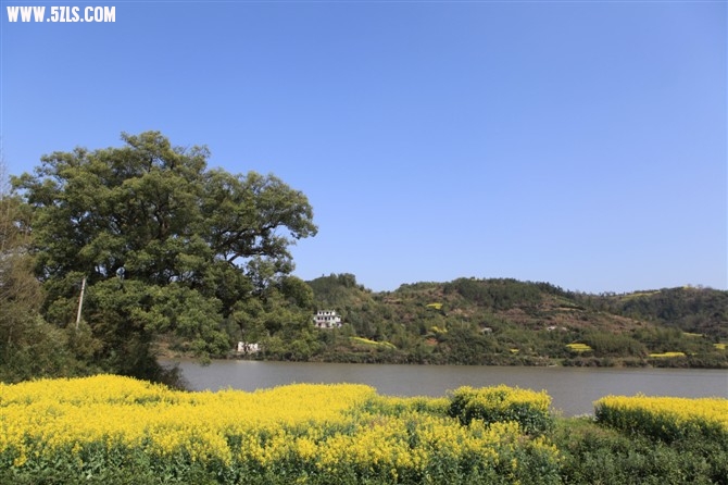 大山眼里的新安江