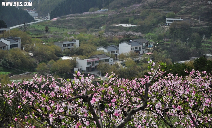 DSC_0166.jpg