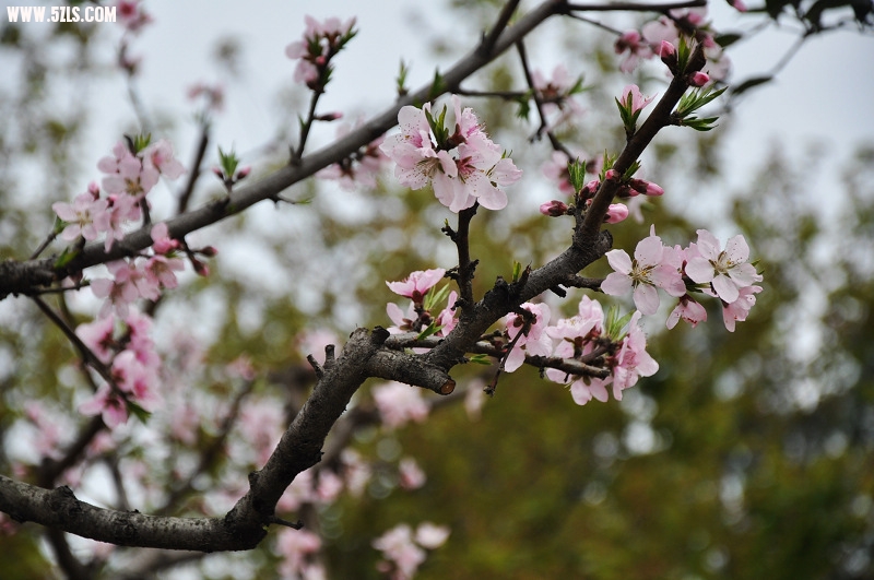 DSC_0035.jpg