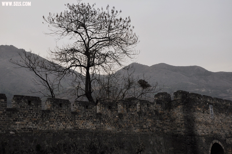 DSC_0399.jpg