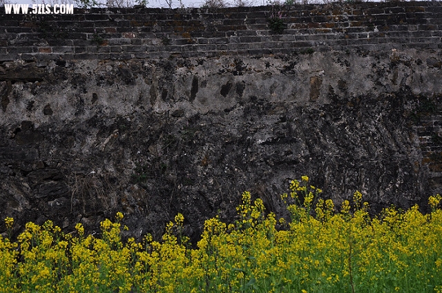 DSC_0439.jpg