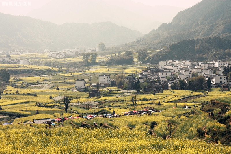 江岭梯田