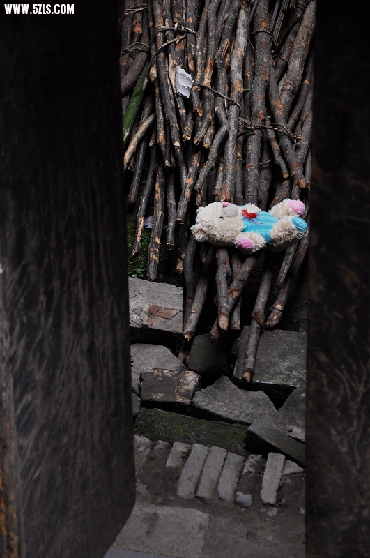 DSC_0478.jpg