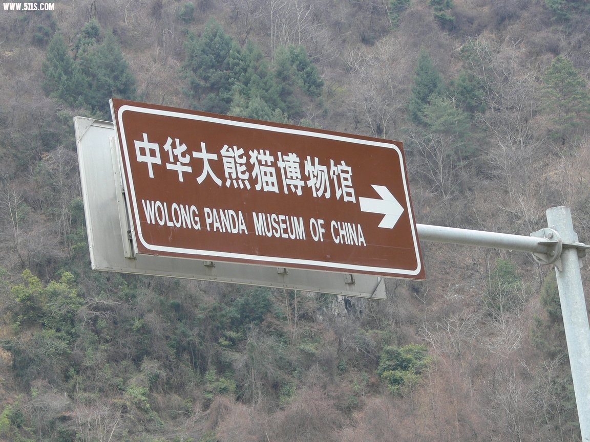 P1120232.jpg