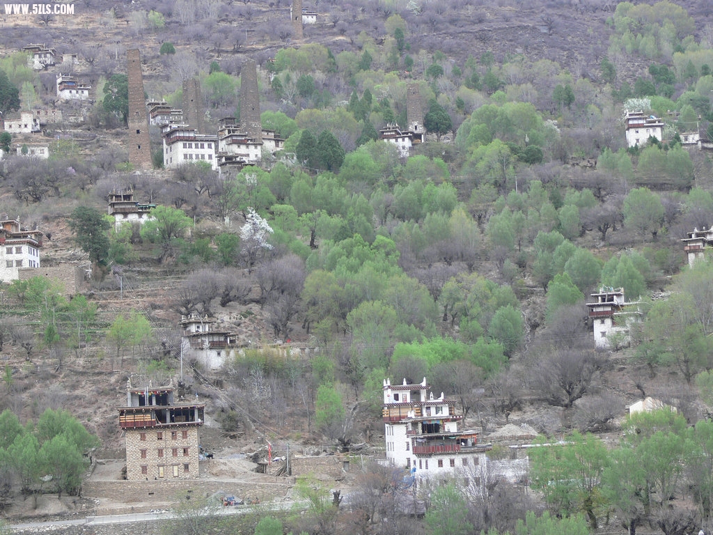 P1120347.jpg
