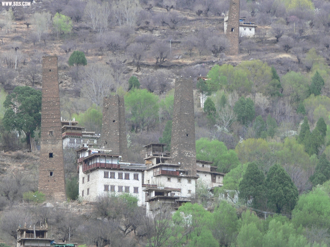P1120334.jpg