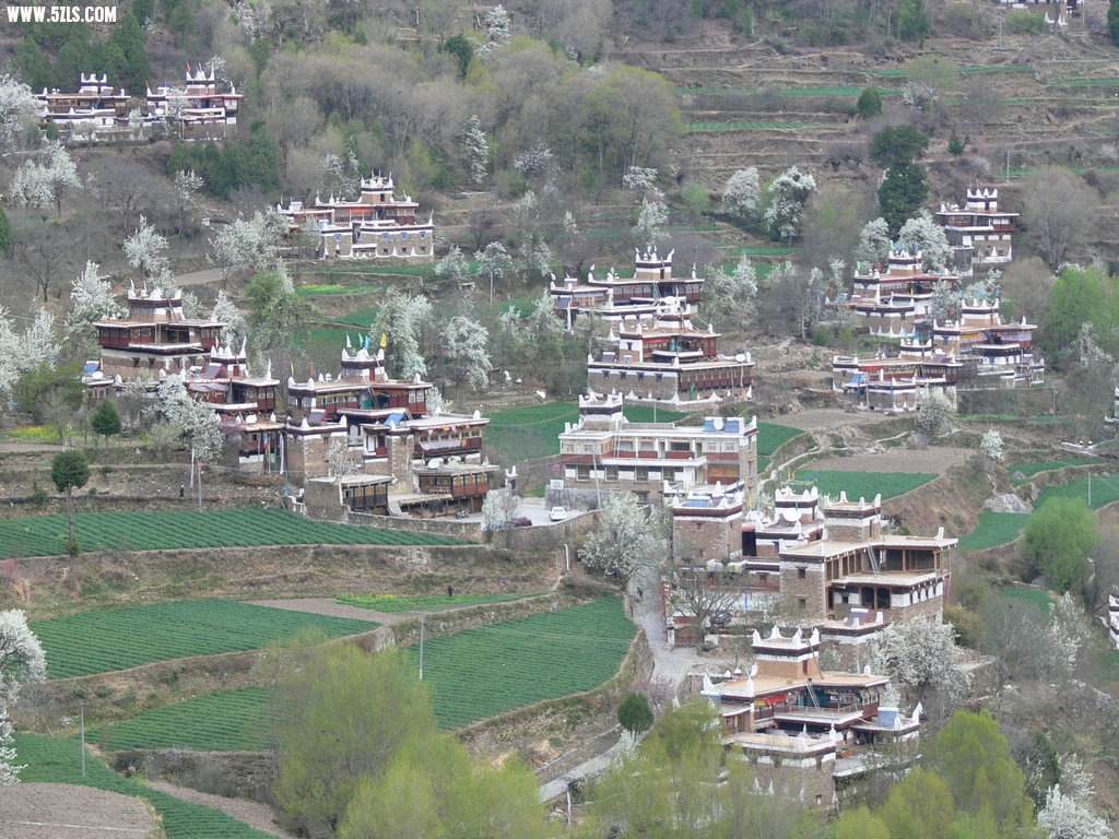 P1120373.jpg