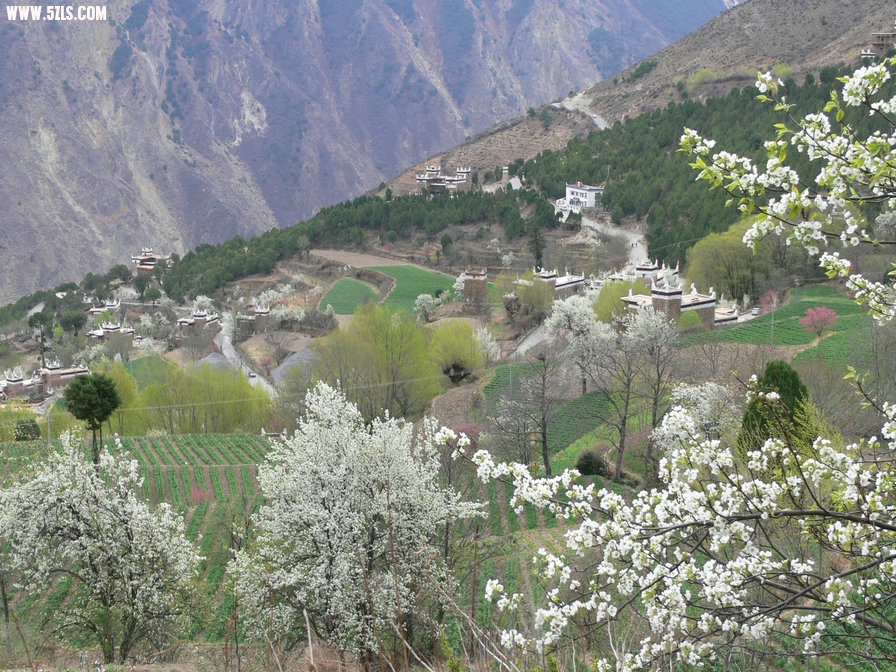P1120454.jpg