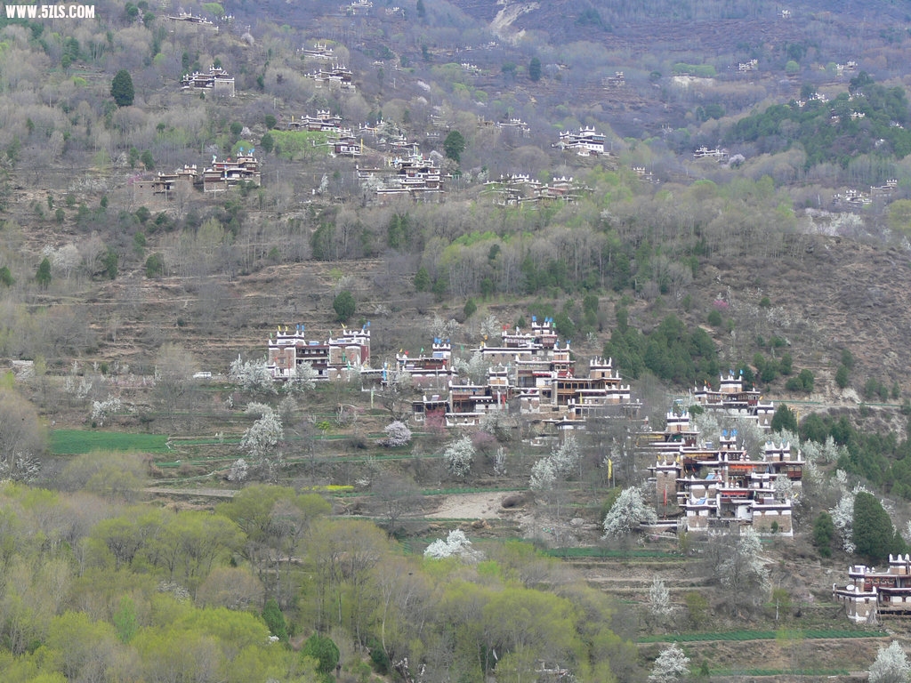 P1120380.jpg