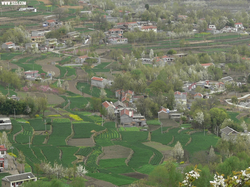 P1120634.jpg