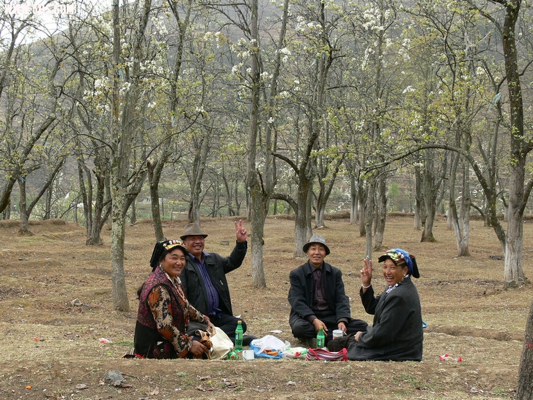 P1120642.jpg