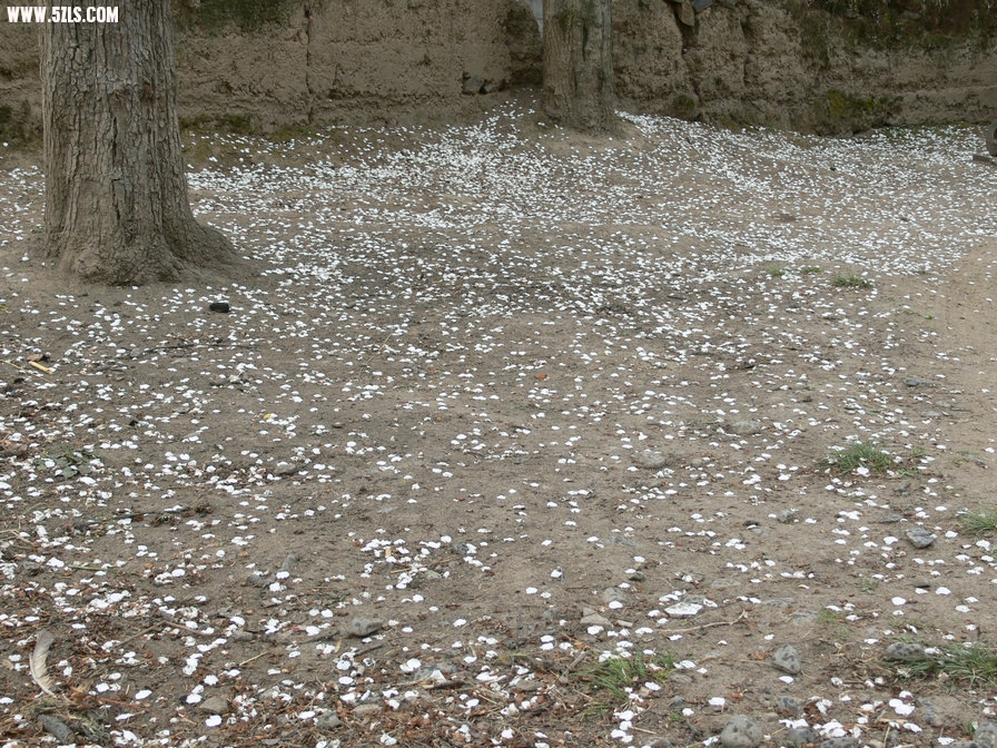 P1120650.jpg