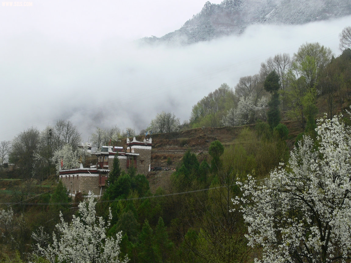 P1120711.jpg