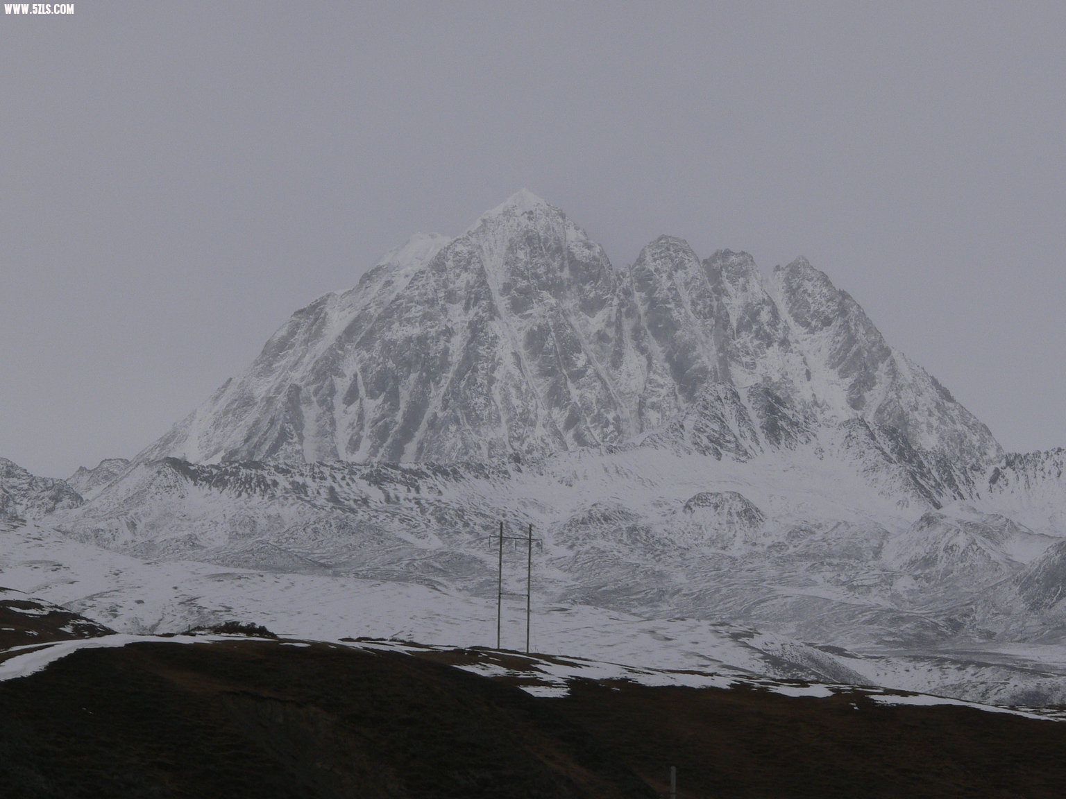 P1120834.jpg