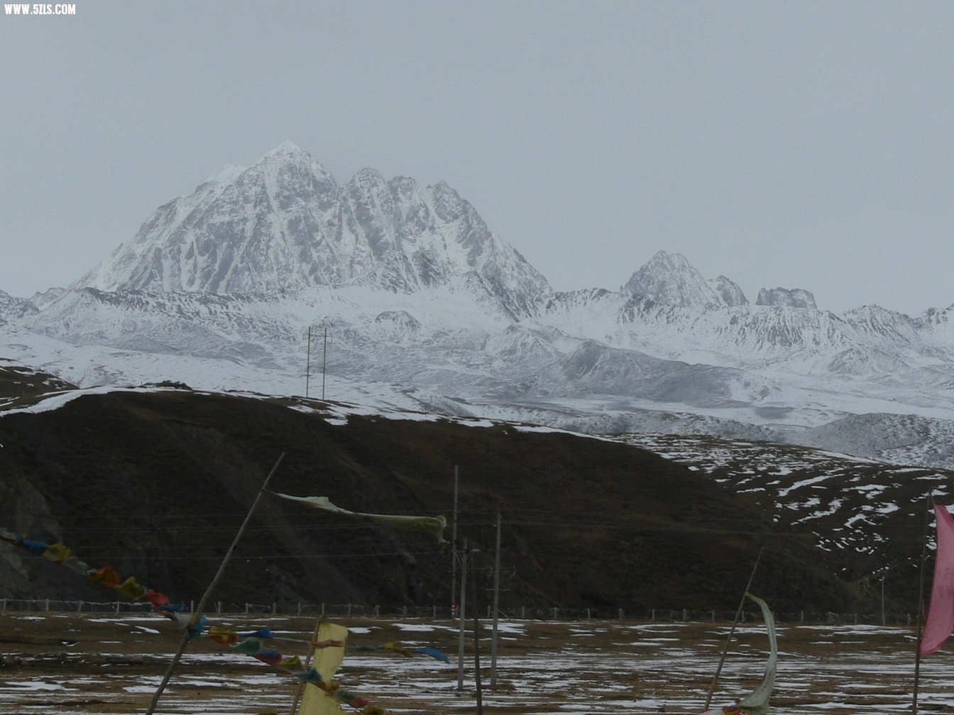 P1120836.jpg