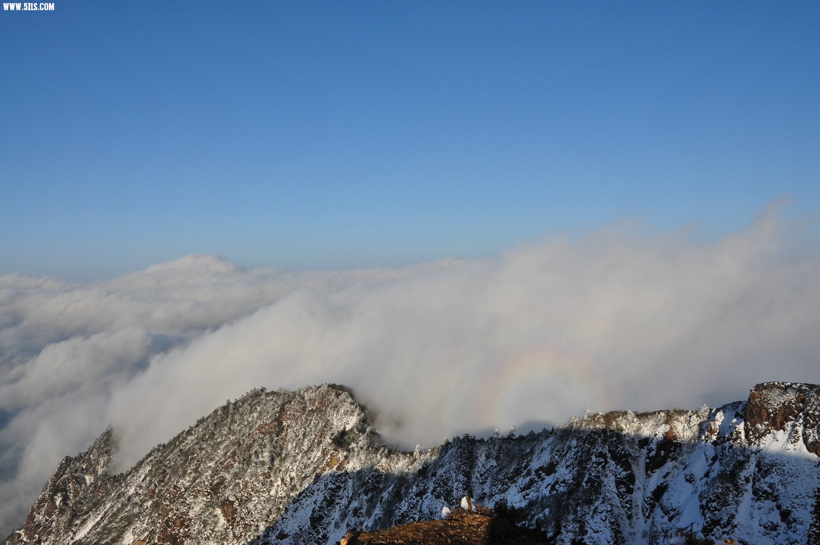 DSC_0155.jpg
