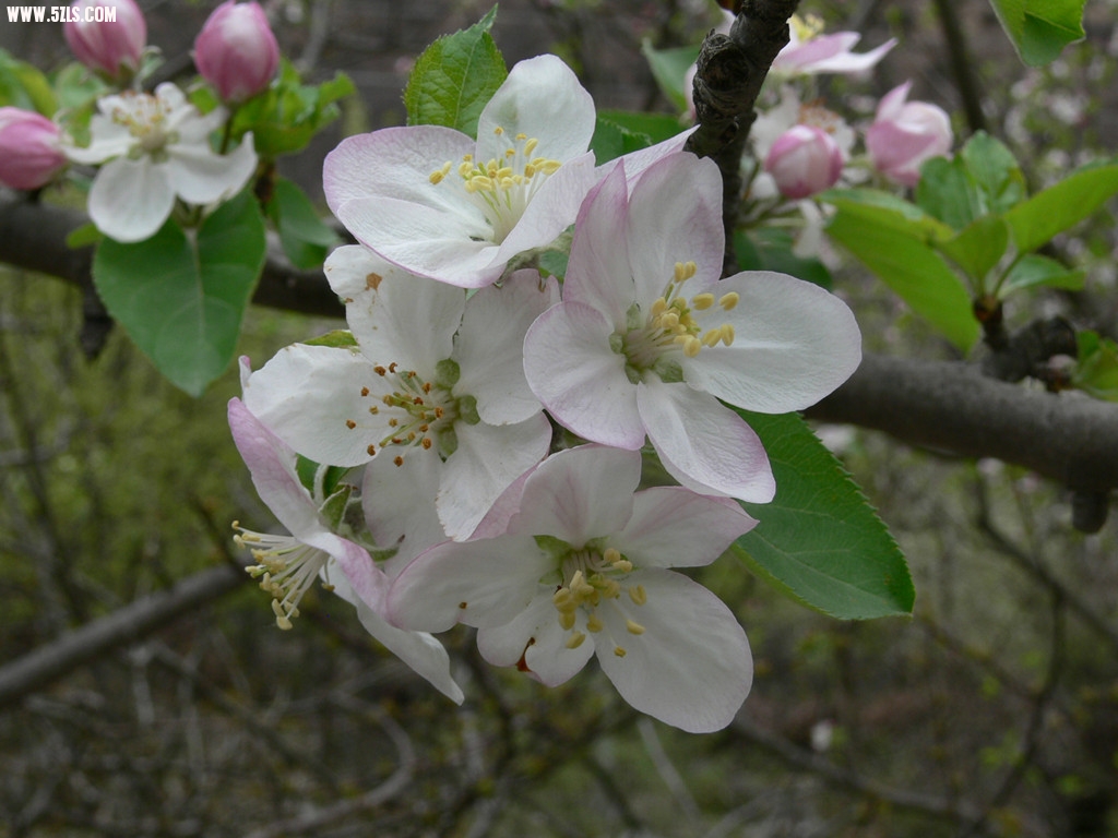 P1120555_.jpg