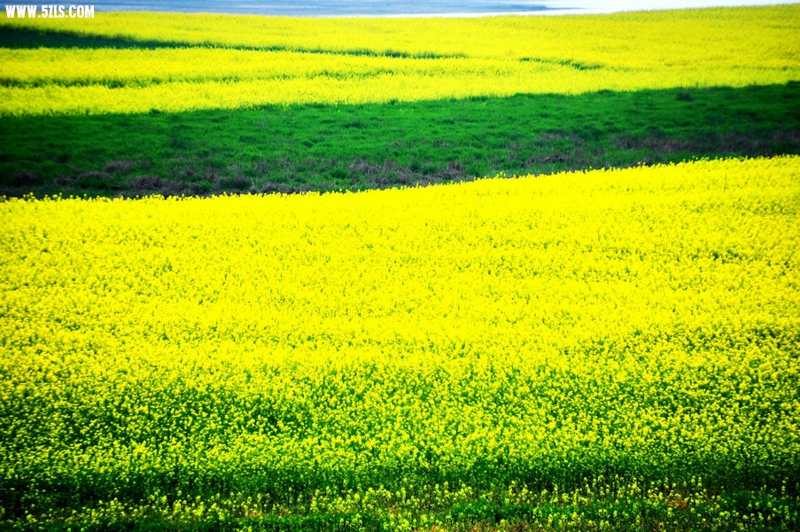 DSC_0467.JPG