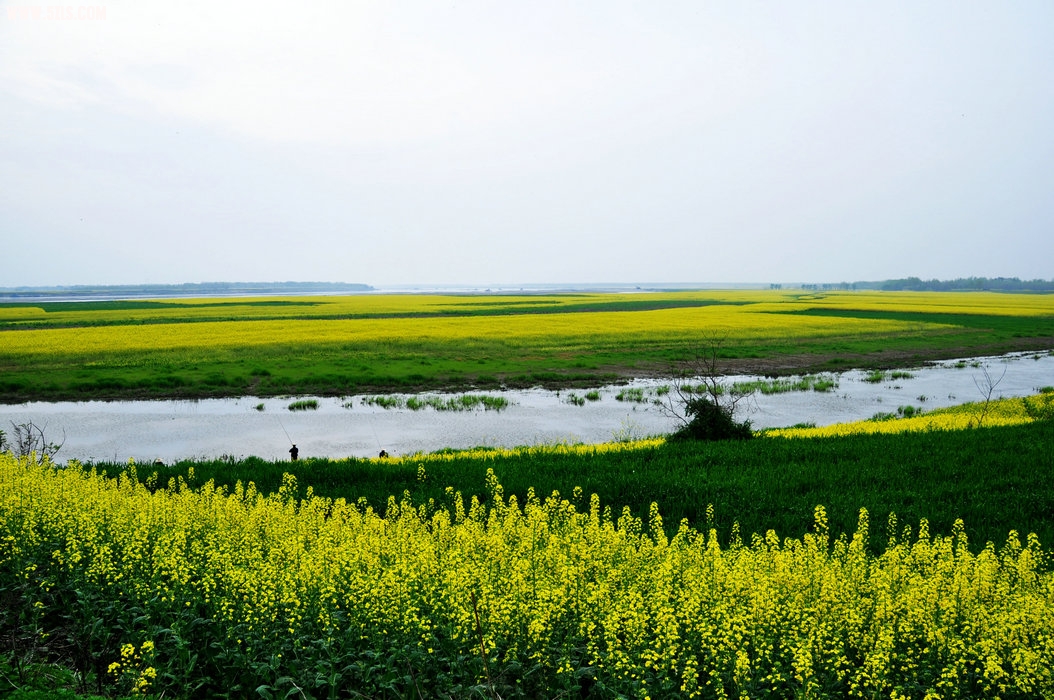 DSC_0469.JPG
