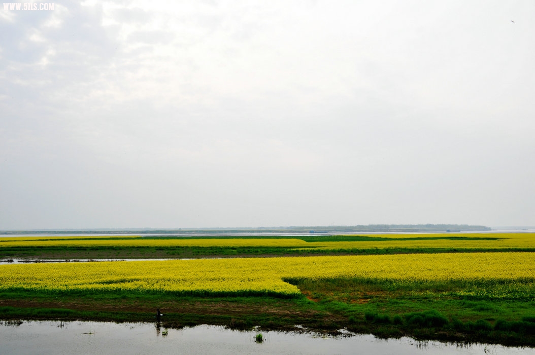 DSC_0477.JPG