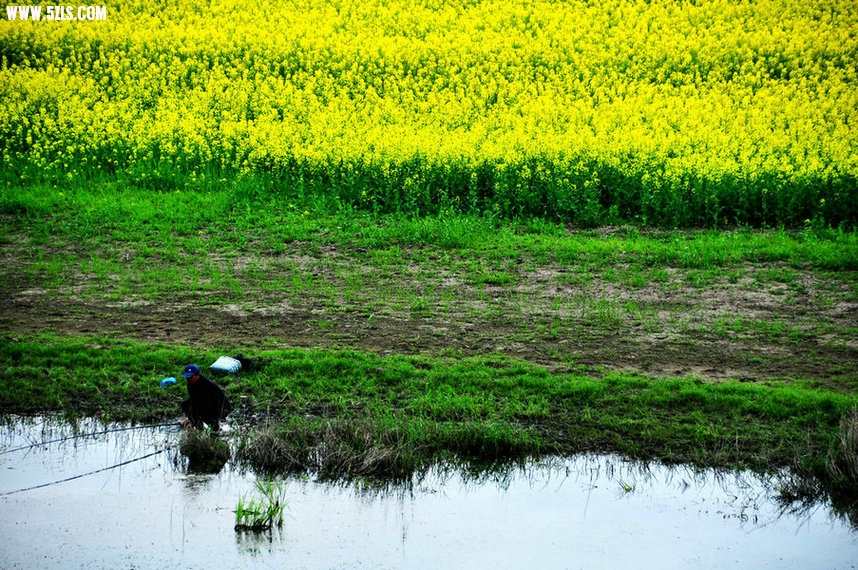 DSC_0483.JPG
