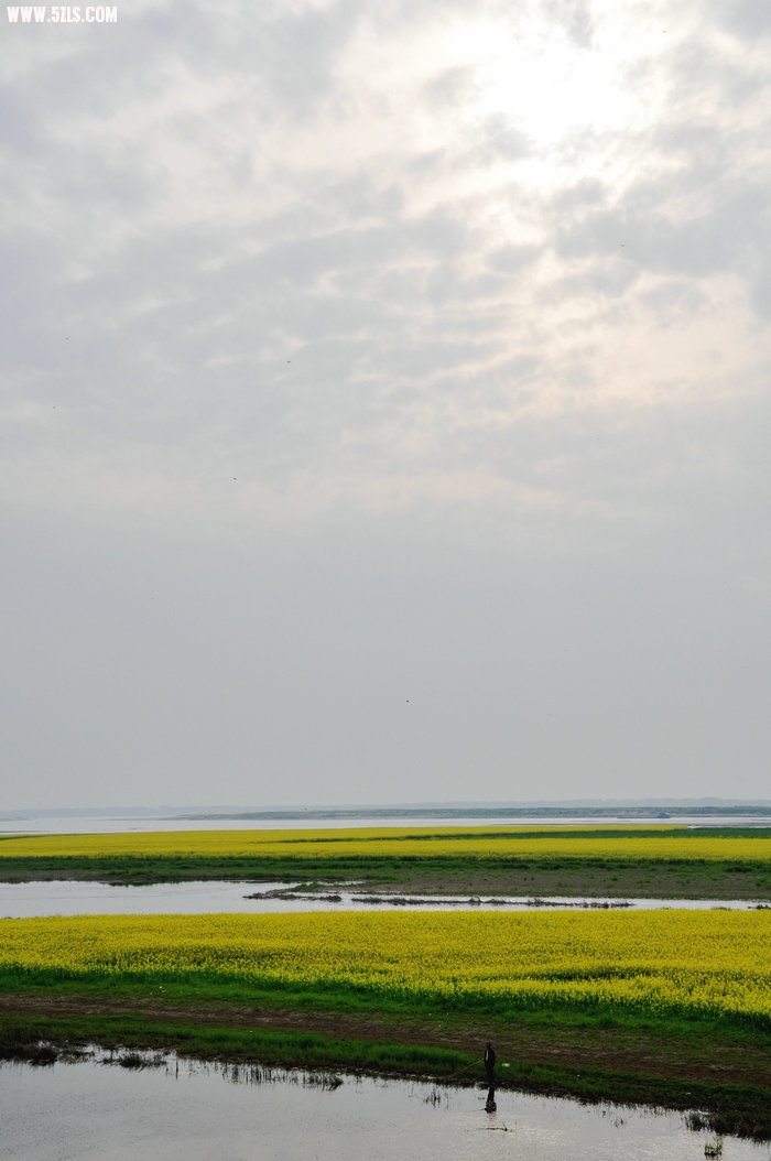 DSC_0488.JPG