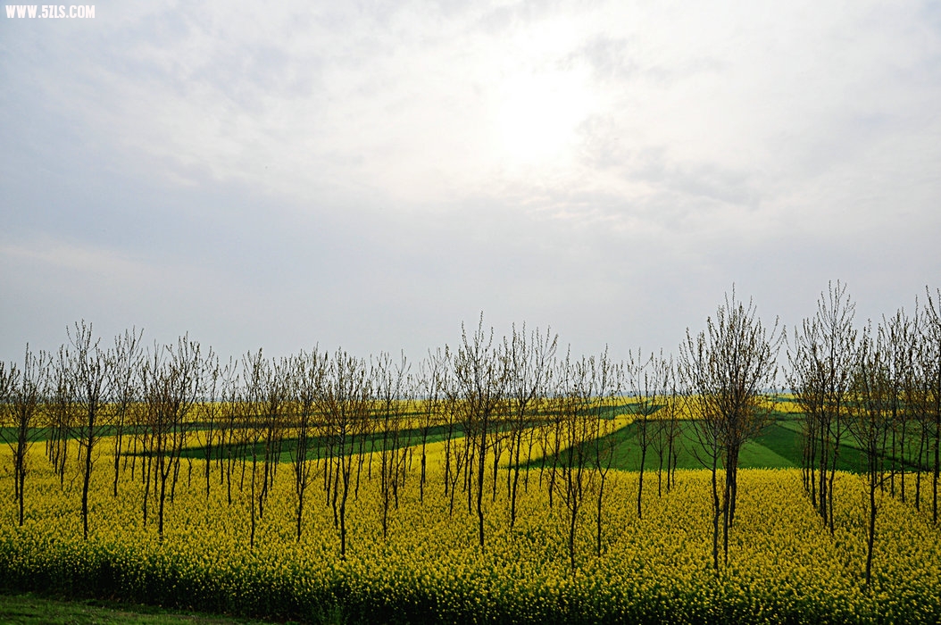 DSC_0494.JPG