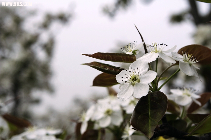 nEO_IMG__MG_0053.jpg