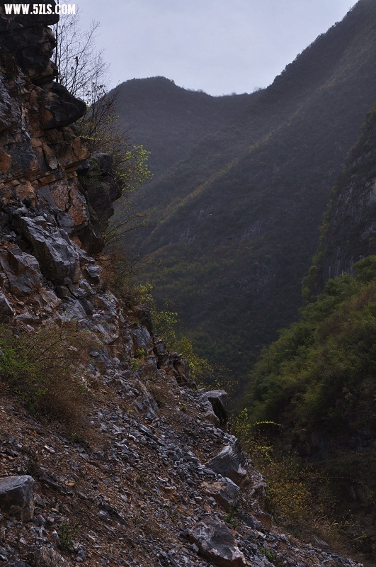 DSC_0566.jpg