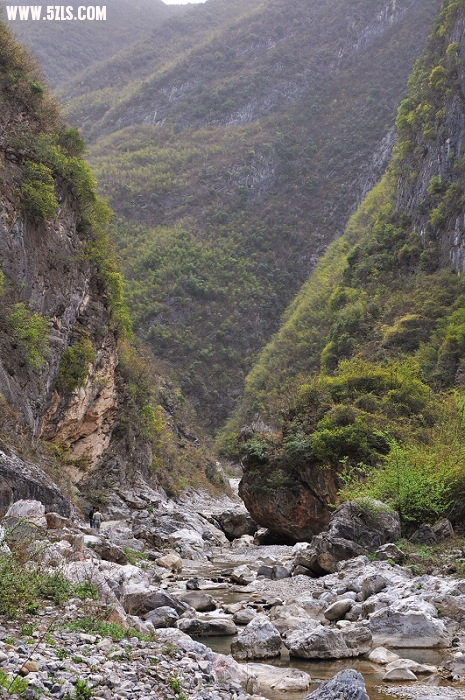 DSC_05721.jpg