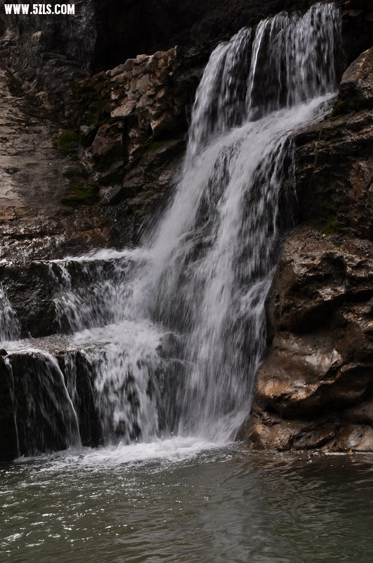 DSC_0596.jpg