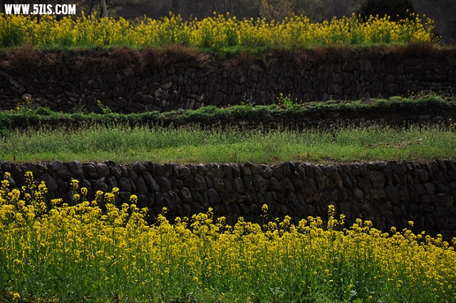 DSC_05641.jpg