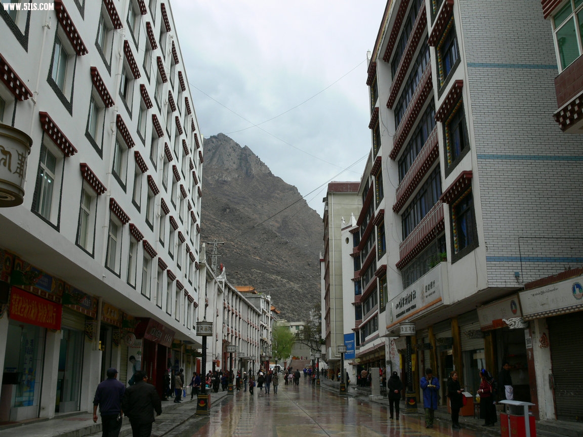 P1120668.jpg