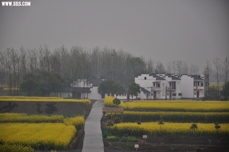DSC_0760.jpg