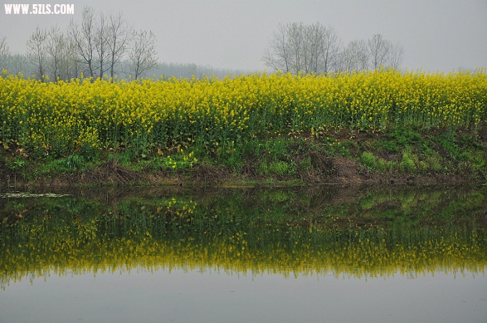 DSC_08671.jpg