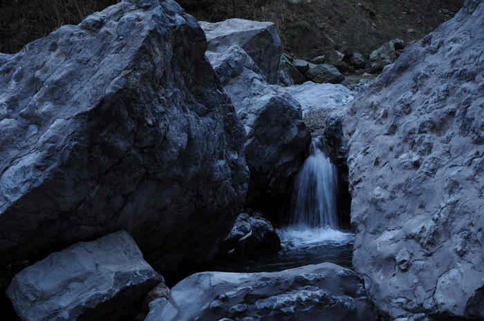 DSC_0065.jpg