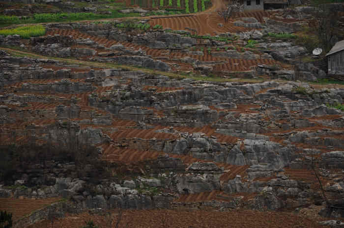 DSC_0297.jpg