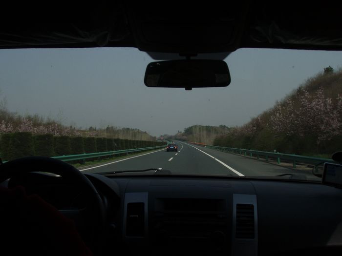 P4020022.JPG