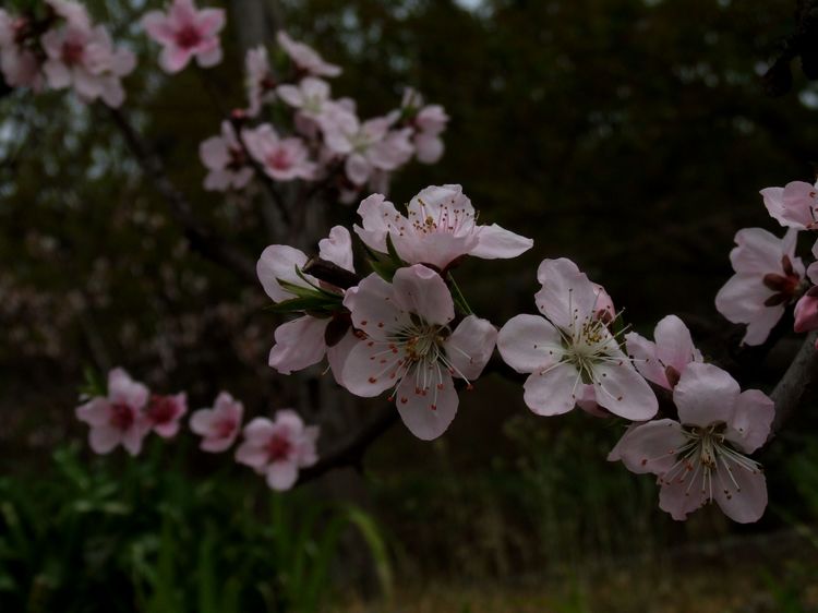 DSCF5896.JPG