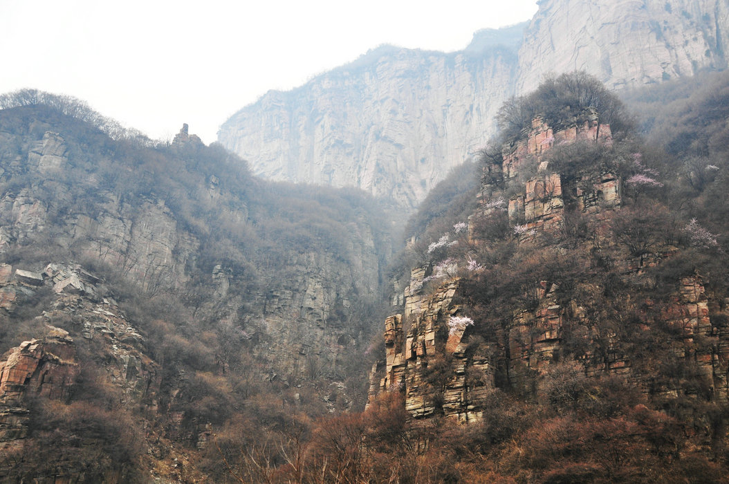 DSC_0050.JPG