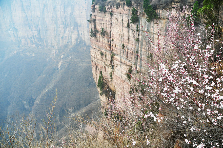 DSC_0123.JPG