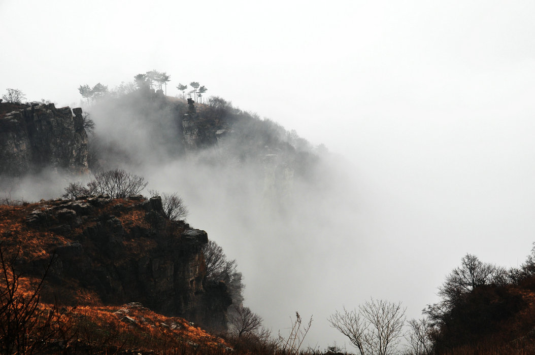 DSC_0205.JPG