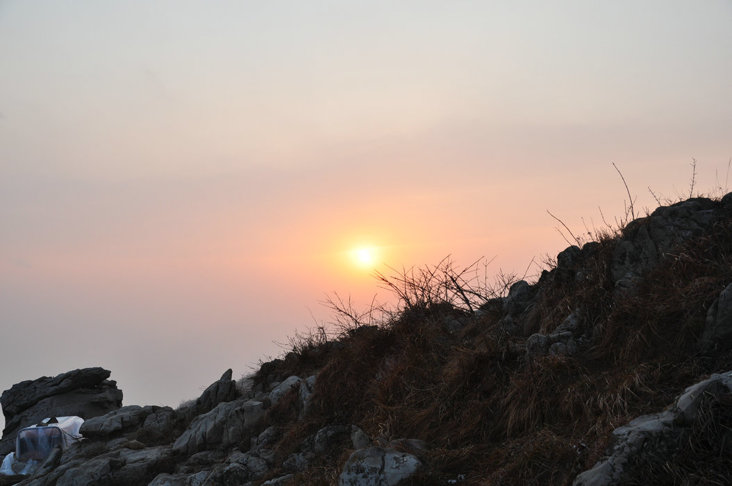 DSC_0240.JPG